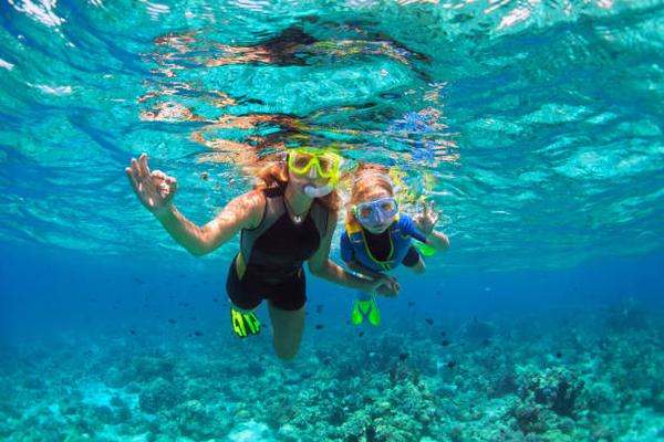 The Importance of a Good Mask for Comfortable Snorkeling and Diving